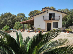 Locazione Turistica Cycas